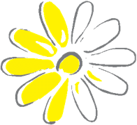 A simple illustration of a daisy with yellow petals and a yellow center, outlined in gray.